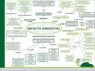 Equipo 1. mapa conceptual.