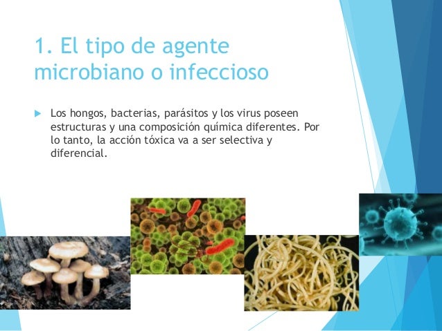 El tratamiento onihomikoza la derrota de hongos de la uña