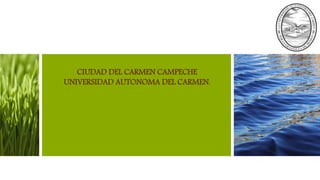 CIUDAD DEL CARMEN CAMPECHE
UNIVERSIDAD AUTONOMA DEL CARMEN.
 