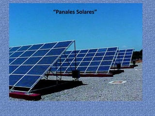 “Panales Solares”
 