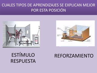 CUALES TIPOS DE APRENDIZAJES SE EXPLICAN MEJOR
               POR ESTA POSICIÓN




    ESTÍMULO             REFORZAMIENTO
    RESPUESTA
 