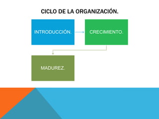 CICLO DE LA ORGANIZACIÓN.


INTRODUCCIÓN.    CRECIMIENTO.




  MADUREZ.
 