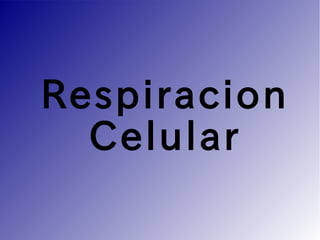Respiracion
Celular
 
