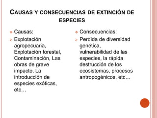 CAUSAS Y CONSECUENCIAS DE EXTINCIÓN DE
ESPECIES
 Causas:
 Explotación
agropecuaria,
Explotación forestal,
Contaminación, Las
obras de grave
impacto, La
introducción de
especies exóticas,
etc…
 Consecuencias:
 Perdida de diversidad
genética,
vulnerabilidad de las
especies, la rápida
destrucción de los
ecosistemas, procesos
antropogénicos, etc…
 