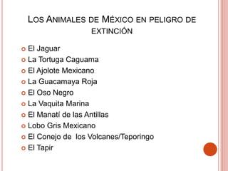  El Jaguar
 La Tortuga Caguama
 El Ajolote Mexicano
 La Guacamaya Roja
 El Oso Negro
 La Vaquita Marina
 El Manatí de las Antillas
 Lobo Gris Mexicano
 El Conejo de los Volcanes/Teporingo
 El Tapir
LOS ANIMALES DE MÉXICO EN PELIGRO DE
EXTINCIÓN
 