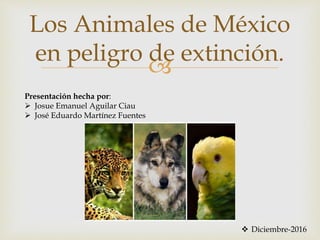 
Los Animales de México
en peligro de extinción.
 Diciembre-2016
Presentación hecha por:
 Josue Emanuel Aguilar Ciau
 José Eduardo Martínez Fuentes
 