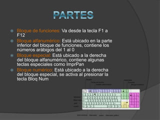 Bloque de funciones: Va desde la tecla F1 a
  F12
 Bloque alfanumérico: Está ubicado en la parte
  inferior del bloque de funciones, contiene los
  números arábigos del 1 al 0
 Bloque especial: Está ubicado a la derecha
  del bloque alfanumérico, contiene algunas
  teclas especiales como ImprPan
 Bloque numérico: Está ubicado a la derecha
  del bloque especial, se activa al presionar la
  tecla Bloq Num
 