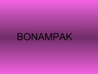 BONAMPAK 