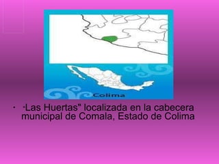 " Las Huertas" localizada en la cabecera municipal de Comala, Estado de Colima 