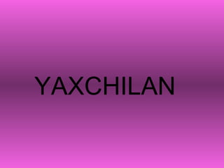 YAXCHILAN 