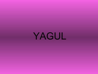 YAGUL 