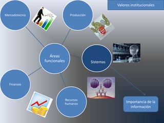Valores institucionales

Mercadotecnia                    Producción




                   Áreas
                funcionales                   Sistemas




  Finanzas



                              Recursos
                              humanos                         Importancia de la
                                                                información
 