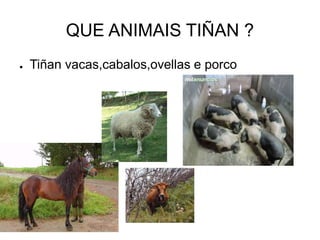 QUE ANIMAIS TIÑAN ? 
● Tiñan vacas,cabalos,ovellas e porco 
 
