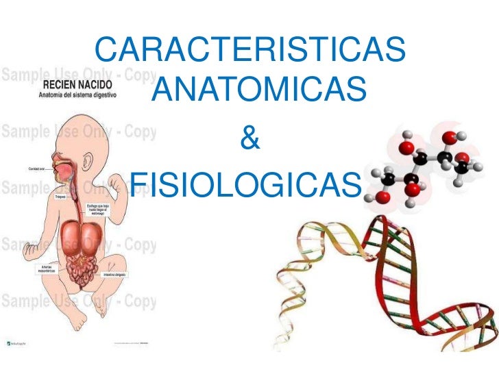 Caracteristicas Fisiologicas Del Recien Nacido Prematuro Pdf: Full Version Software Caracteristicas Fisiologicas Del Recien Nacido Prematuro Pdf: Full Version Software