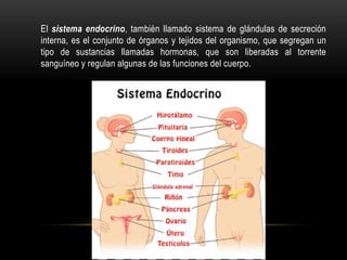 El sistema endocrino, también llamado sistema de glándulas de secreción
interna, es el conjunto de órganos y tejidos del organismo, que segregan un
tipo de sustancias llamadas hormonas, que son liberadas al torrente
sanguíneo y regulan algunas de las funciones del cuerpo.
 