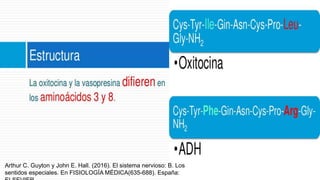 Arthur C. Guyton y John E. Hall. (2016). El sistema nervioso: B. Los
sentidos especiales. En FISIOLOGÍA MÉDICA(635-688). España:
 