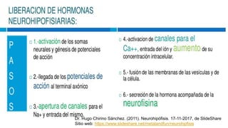 Dr. Hugo Chirino Sánchez. (2011). Neurohipófisis. 17-11-2017, de SlideShare
Sitio web: https://www.slideshare.net/metalandfun/neurohipfisis
 