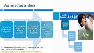 Dr. Hugo Chirino Sánchez. (2011). Neurohipófisis. 17-11-
2017, de SlideShare Sitio web:
https://www.slideshare.net/metalandfun/neurohipfisis
 