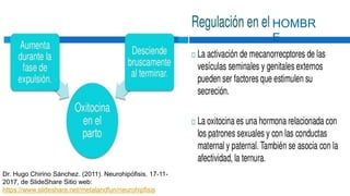 HOMBR
E
Dr. Hugo Chirino Sánchez. (2011). Neurohipófisis. 17-11-
2017, de SlideShare Sitio web:
https://www.slideshare.net/metalandfun/neurohipfisis
 