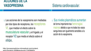 http://accessmedicina.mhmedical.com/content.
 