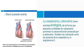 http://accessmedicina.mhmedical.com/content.
 