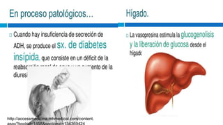 http://accessmedicina.mhmedical.com/content.
 