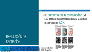 Arthur C. Guyton y John E. Hall. (2016). El sistema nervioso: B. Los
sentidos especiales. En FISIOLOGÍA MÉDICA(635-688). España:
 