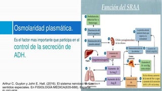 Arthur C. Guyton y John E. Hall. (2016). El sistema nervioso: B. Los
sentidos especiales. En FISIOLOGÍA MÉDICA(635-688). España:
 