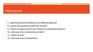PREGUNTAS
 7.- ¿Qué función tiene la Oxitocina en la Glándula Mamaria?
 8.- ¿Cómo hace posible la producción de leche?
 9.- ¿Cómo se regula la acción de la oxitocina en la glándula mamaria?
 10.- ¿Para qué sirve la oxitocina en el Útero?
 11.- ¿Cómo lo hace?
 12.- ¿Para qué sirve la Vasopresina?
 