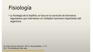 Dr. Hugo Chirino Sánchez. (2011). Neurohipófisis. 17-11-
2017, de SlideShare Sitio web:
https://www.slideshare.net/metalandfun/neurohipfisis
 
