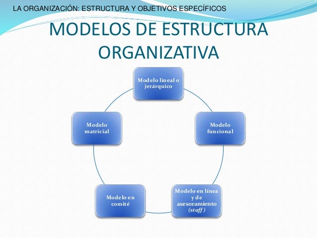 ESTRUCTURA ORGANIZACIONAL