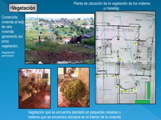 Planta de ubicación de la vegetación de los materos
                                                                      y masetas.

Construida
vivienda al lado
de otra
vivienda
generando así
poca
vegetación.
Vegetación
perimetral




                   Vegetación que se encuentra plantado en pequeñas masetas o
                   materos que se encuentra ubicados en el interior de la vivienda.
 