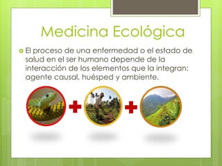 Medicina Ecológica 
 El proceso de una enfermedad o el estado de 
salud en el ser humano depende de la 
interacción de los elementos que la integran: 
agente causal, huésped y ambiente. 
 