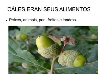 CÁLES ERAN SEUS ALIMENTOS 
● Peixes, animais, pan, froitos e landras. 
 
