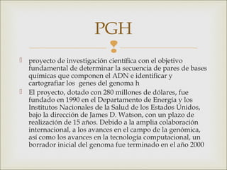 PGH
                        
 proyecto de investigación científica con el objetivo
  fundamental de determinar la secuencia de pares de bases
  químicas que componen el ADN e identificar y
  cartografiar los  genes del genoma h
 El proyecto, dotado con 280 millones de dólares, fue
  fundado en 1990 en el Departamento de Energía y los
  Institutos Nacionales de la Salud de los Estados Unidos,
  bajo la dirección de James D. Watson, con un plazo de
  realización de 15 años. Debido a la amplia colaboración
  internacional, a los avances en el campo de la genómica,
  así como los avances en la tecnología computacional, un
  borrador inicial del genoma fue terminado en el año 2000
 