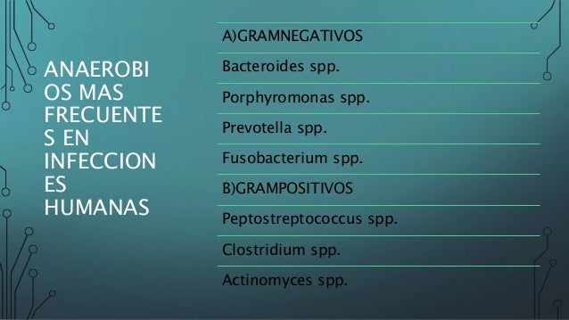 bacterias anaerobias y aerobias