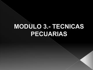 MODULO 3.- TECNICAS
   PECUARIAS
 