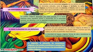 Cada miembro de una comunidad comparte con sus vecinos una serie
de elementos culturales, como la lengua, el territorio, los cultos
religiosos, las formas de vestir, las creencias, la historia, todo lo cual le
permite decir que es parecido a ellos y que comparten una identidad
común que lo distingue de otros seres humanos.
LAS IDENTIDADES INDÍGENAS
Los pueblos indígenas demandan una nueva posición en la nación
mexicana como miembros activos y reconocidos de la comunidad
nacional, con derechos y con la capacidad de gobernarse a sí mismos
de acuerdo con sus culturas y tradiciones.
LA GRAN PLURALIDAD DE LOS INDÍGENAS
El primer paso para aproximarse a las culturas indígenas de México es
reconocer su gran pluralidad, y la riqueza cultural y humana que ésta
implica, así como sus profundas raíces históricas.
La diversidad de lenguas, orígenes, formas de vida y ecosistemas se
traduce en una inagotable diversidad cultural.
La migración, la educación, las conversiones
religiosas y los cambios económicos y sociales han
impactado de diversas formas a las comunidades y
pueblos indígenas.
 