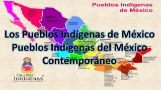 Los Pueblos Indígenas de México
Pueblos Indígenas del México
Contemporáneo
 