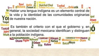 Hablar una lengua indígena es un elemento central de
la vida y la identidad de las comunidades originarias
de nuestra nación.
Es también el criterio con el que el gobierno y, en
general, la sociedad mexicana identifican y distinguen
a la población indígena.
 