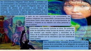 los conocimientos indígenas sobre plantas y animales que
las universidades y las compañías que producen medicinas y
cosméticos pagan a los yerberos indígenas para que les
enseñen las plantas que conocen y sus efectos. Sin
embargo, esta práctica ha sido llamada biopiratería, pues a
partir del conocimiento indígena algunas compañías han
desarrollado medicinas que les han dado enormes ganancias
Graniceros, para intentar controlar el clima. Sin embargo,
antes de descalificar estas formas de pensar y actuar, hay
que recordar que resultan lógicas y racionales en el
marco de la cosmovisión indígena y que son parte de la
particular relación con la naturaleza que han establecido
estos pueblos
A partir de sus cosmovisiones y su conocimiento, los
pueblos indígenas han desarrollado concepciones éticas
particulares sobre cómo debe ser el comportamiento de
hombres y mujeres en su relación con otras personas y
con el cosmos
Otro imperativo ético, vinculado a la cosmovisión y a los
valores de la comunidad, es la obligación de compartir las
riquezas personales con la comunidad y en el culto a los
dioses.
 