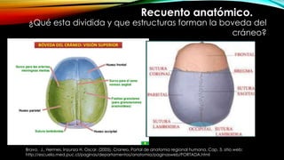 Recuento anatómico.
¿Qué esta dividida y que estructuras forman la boveda del
cráneo?
Bravo, J., Hermes. Inzunza H. Oscar. (2005). Craneo. Portal de anatomia regional humana. Cap. 3. sitio web:
http://escuela.med.puc.cl/paginas/departamentos/anatomia/paginasweb/PORTADA.html
 