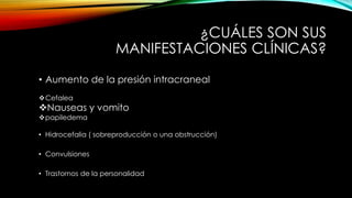 ¿CUÁLES SON SUS
MANIFESTACIONES CLÍNICAS?
• Aumento de la presión intracraneal
Cefalea
Nauseas y vomito
papiledema
• Hidrocefalia ( sobreproducción o una obstrucción)
• Convulsiones
• Trastornos de la personalidad
 