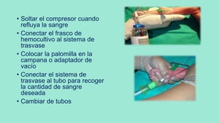 • Soltar el compresor cuando
refluya la sangre
• Conectar el frasco de
hemocultivo al sistema de
trasvase
• Colocar la palomilla en la
campana o adaptador de
vacío
• Conectar el sistema de
trasvase al tubo para recoger
la cantidad de sangre
deseada
• Cambiar de tubos
 