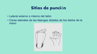 Sitios de punción
• Lateral externo o interno del talón
• Caras laterales de las falanges distales de los dedos de la
mano
 