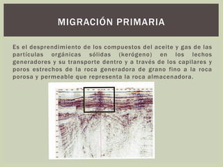 Es el desprendimiento de los compuestos del aceite y gas de las
partículas orgánicas sólidas (kerógeno) en los lechos
generadores y su transporte dentro y a través de los capilares y
poros estrechos de la roca generadora de grano fino a la roca
porosa y permeable que representa la roca almacenadora.
MIGRACIÓN PRIMARIA
 