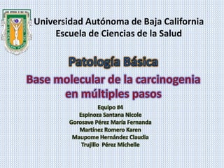 Universidad Autónoma de Baja California
Escuela de Ciencias de la Salud
 