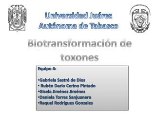 Equipo 4 biotransformacion de toxones