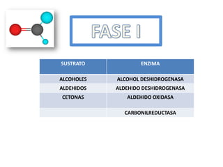 SUSTRATO            ENZIMA

ALCOHOLES   ALCOHOL DESHIDROGENASA
ALDEHIDOS   ALDEHIDO DESHIDROGENASA
CETONAS        ALDEHIDO OXIDASA

              CARBONILREDUCTASA
 
