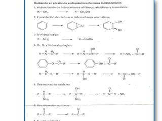 Equipo 4 biotransformacion de toxones